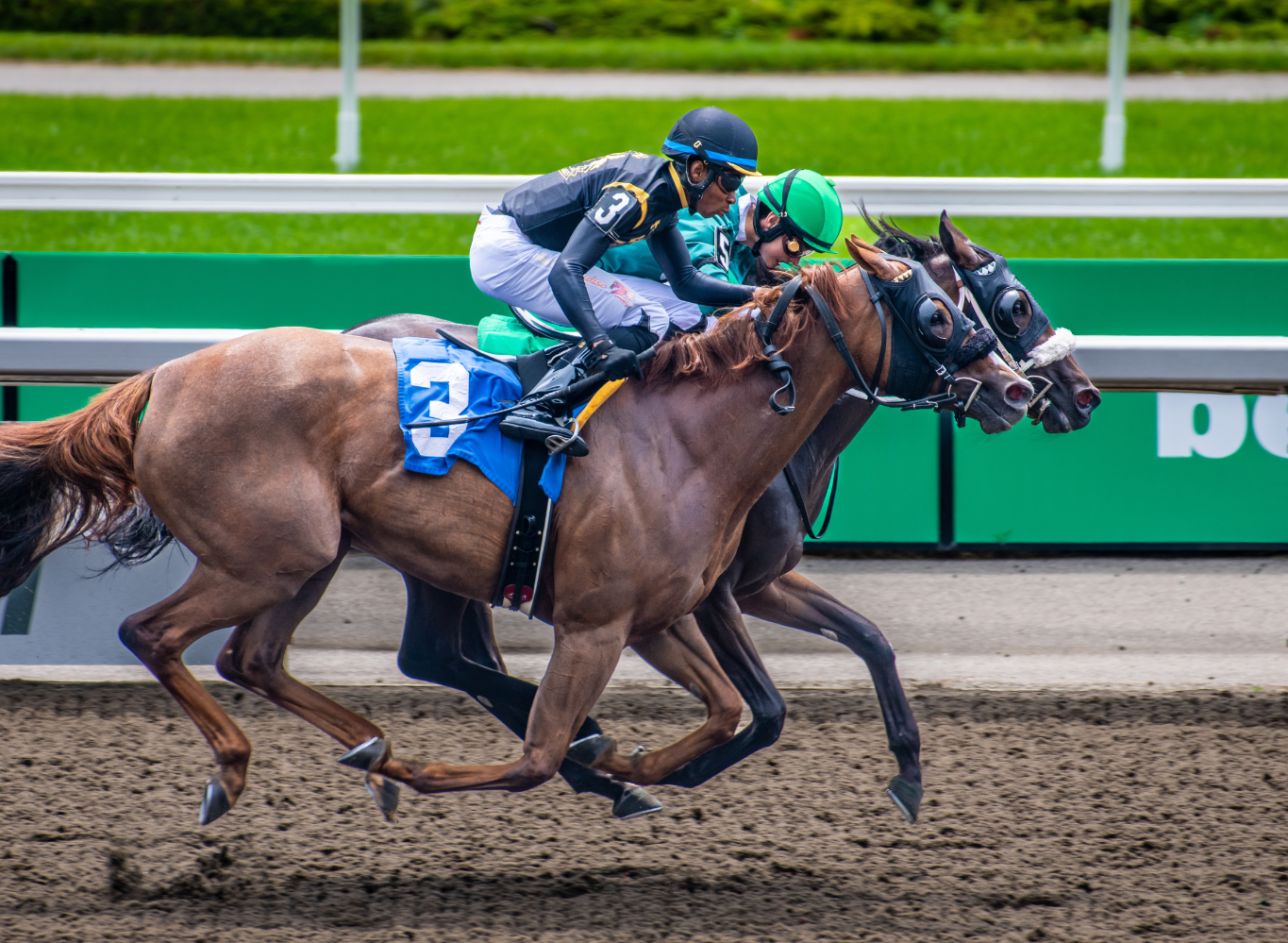 Horse Race - Bespoke Package Tickets