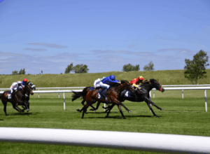 Rowley Mile Racecourse