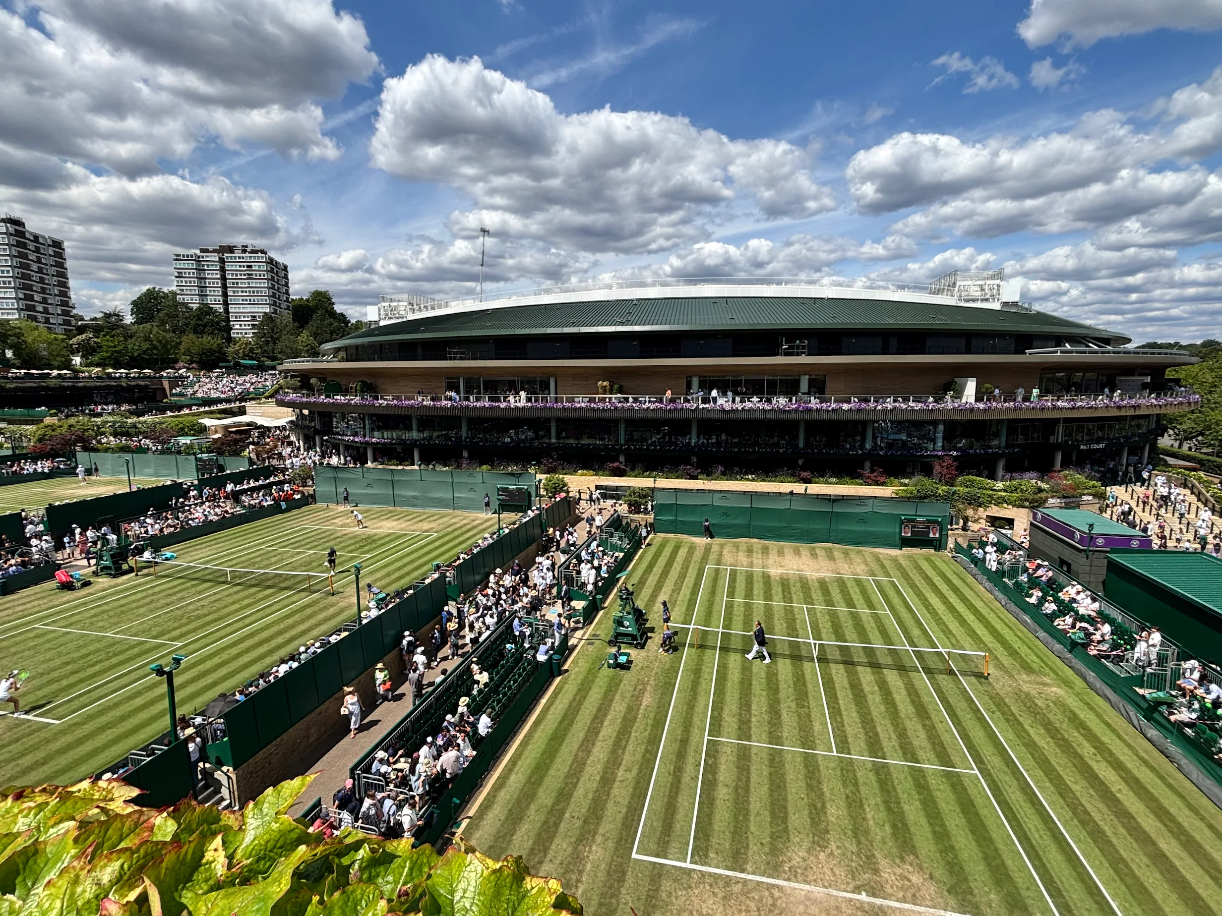 Wimbledon - Review - Dave Stanger 3